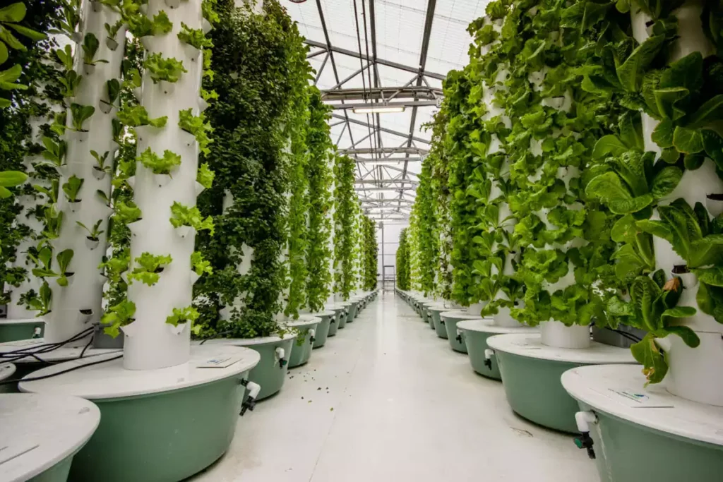 Vertical Farming Revolution Sprouts: How Will It Blossom in the Forex Market?